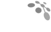 ADN logo