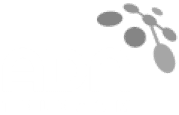 ADN logo