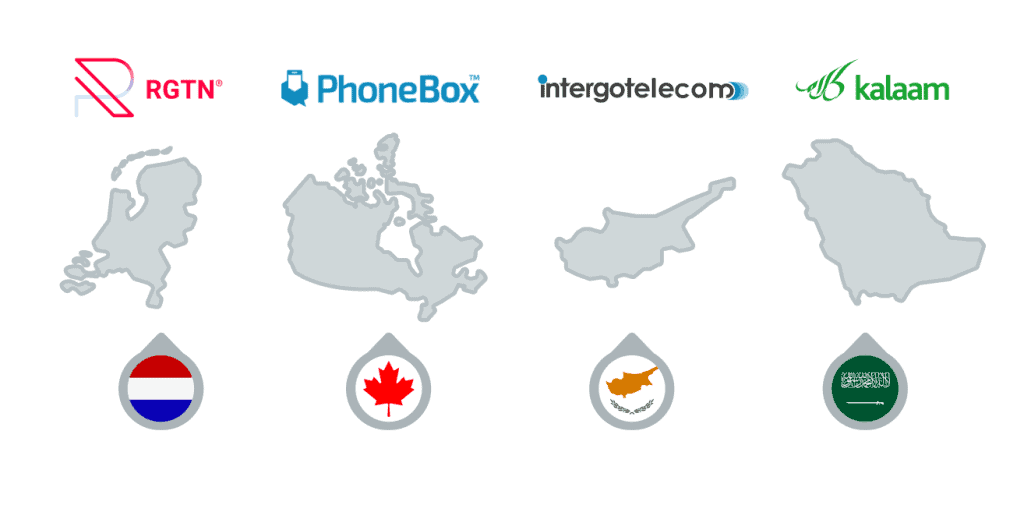 Expert Insights for Telecom International Expansion Success