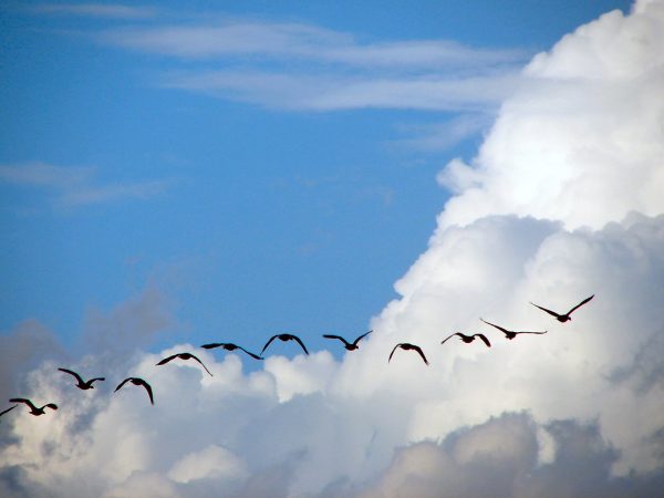 d4d6efa0 4e4e 4915 8130 89ba0305fbff