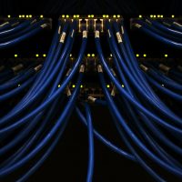 Photo by Scott Rodgerson a bunch of blue wires connected to each other